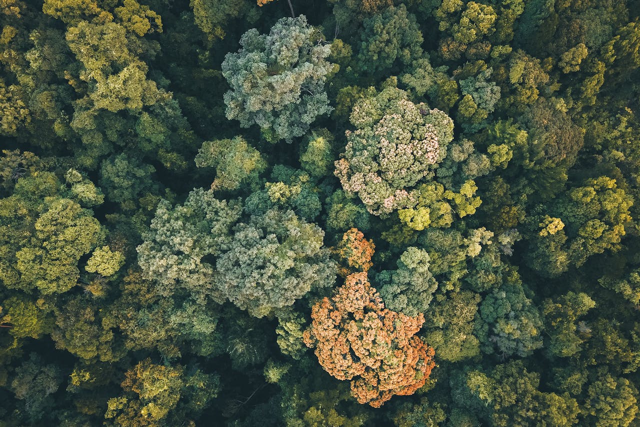 parallax background